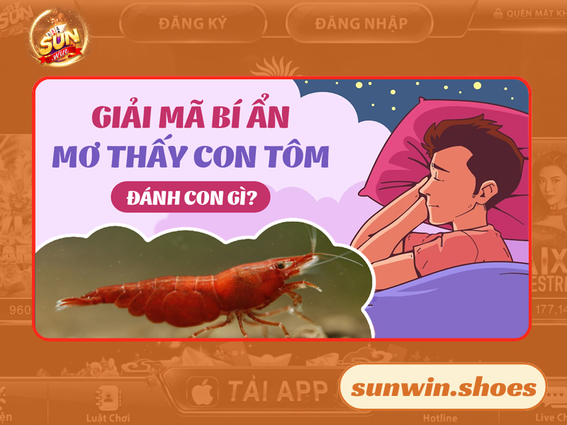 Nằm mơ thấy tôm mang lại nhiều những ý nghĩa đối lập nhau