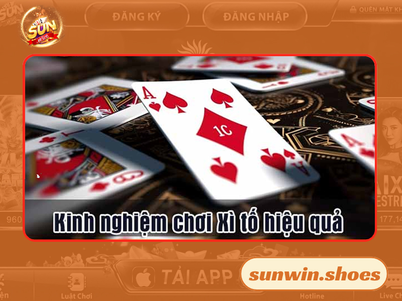 Chuyên gia chia sẻ kinh nghiệm chơi Xì Tố hiệu quả