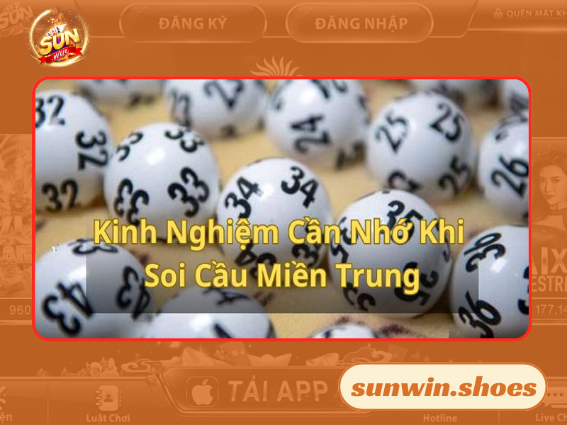 Những lời khuyên của các chuyên gia trong giới