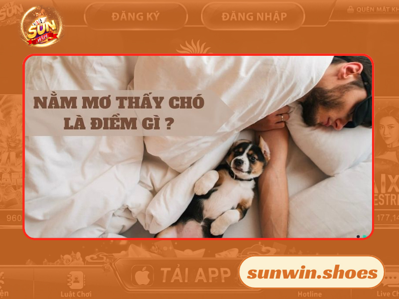 Tìm hiểu về giấc mơ có nhiều ý nghĩa này